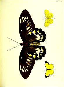n258_w1150