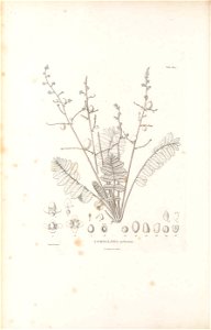 n35_w1150