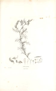 n568_w1150