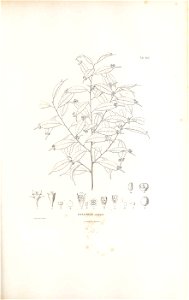 n112_w1150