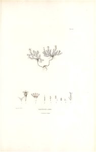 n208_w1150