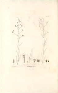 n477_w1150
