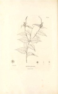 n93_w1150