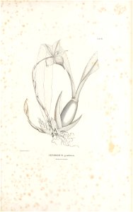 n606_w1150