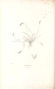 n369_w1150