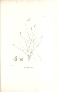 n216_w1150