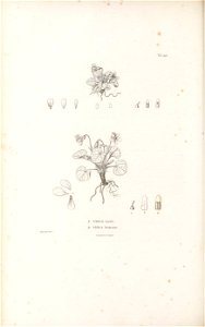 n455_w1150