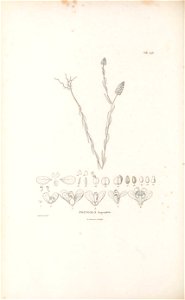 n507_w1150