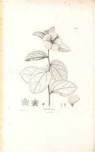 n357_w1150