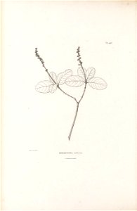 n195_w1150