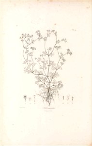 n433_w1150