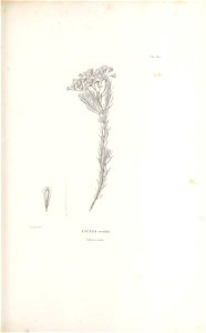 n248_w1150