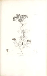 n184_w1150