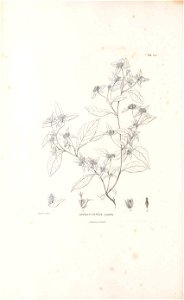 n57_w1150