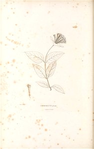 n553_w1150