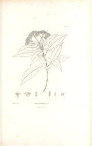 n472_w1150