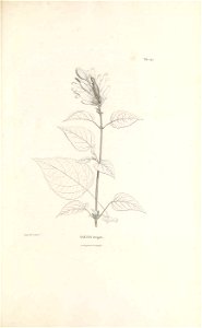 n348_w1150