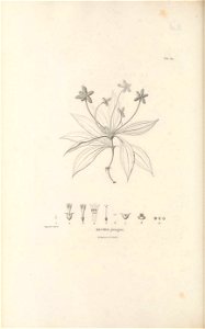n299_w1150