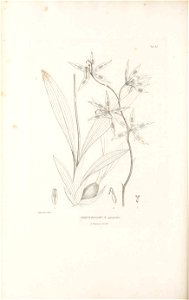 n593_w1150