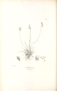 n361_w1150