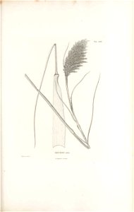 n312_w1150