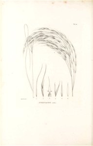 n263_w1150