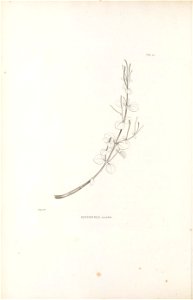 n157_w1150