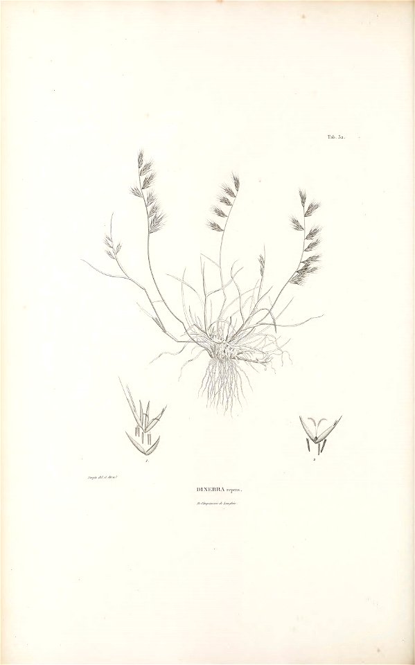 n359_w1150