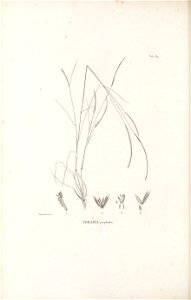 n259_w1150