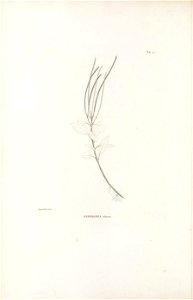 n153_w1150