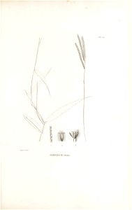 n198_w1150