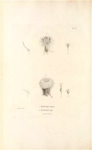 n257_w1150