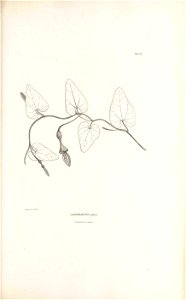 n158_w1150