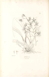 n581_w1150