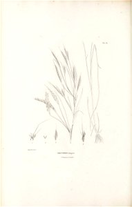 n399_w1150