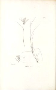 n349_w1150