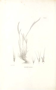 n299_w1150