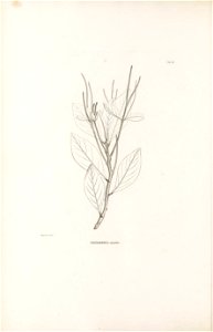 n145_w1150