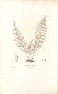 n69_w1150