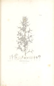 n486_w1150