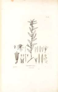 n419_w1150