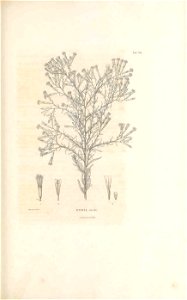 n222_w1150