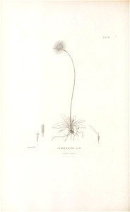 n159_w1150