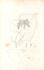 n31_w1150