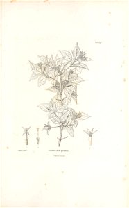 n526_w1150
