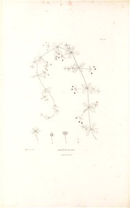 n441_w1150