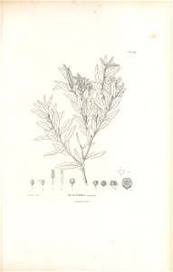n372_w1150