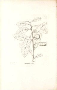 n317_w1150