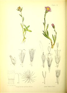 n145_w1150