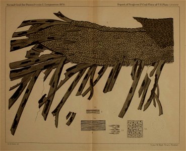 n212_w1150
